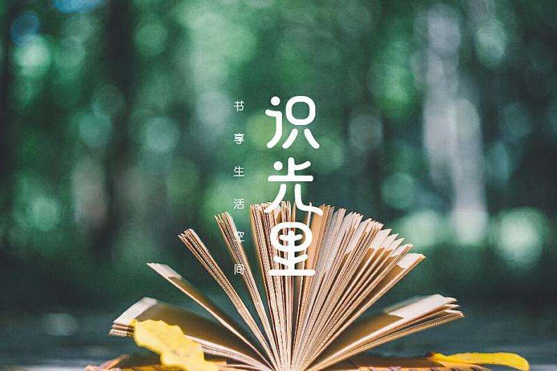 推荐一些与Facebook相关的长篇阅读材料，涵盖其历史、商业模式等方面的内容