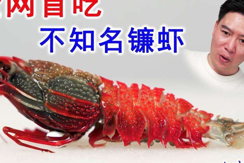 发现全网优惠的Facebook广告账号资源